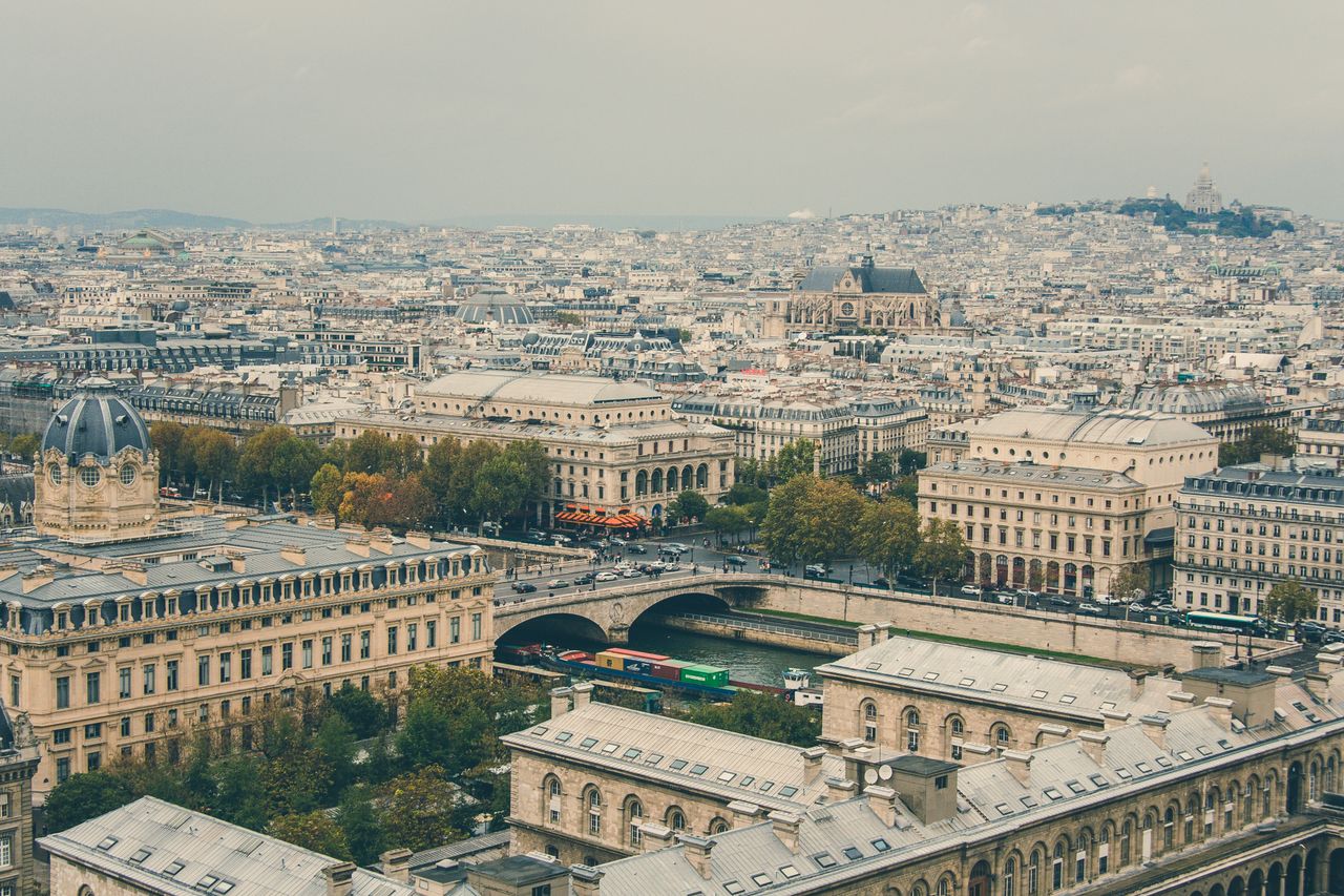 services-02 Aerial view of Paris cityscape featuring Seine River and historic architecture under a cloudy sky.